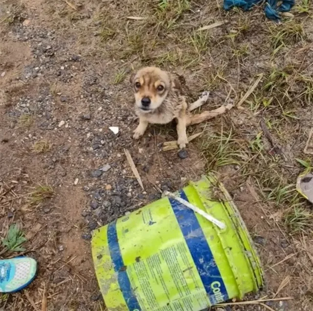 In a delightful twist, Charlotte was pro...