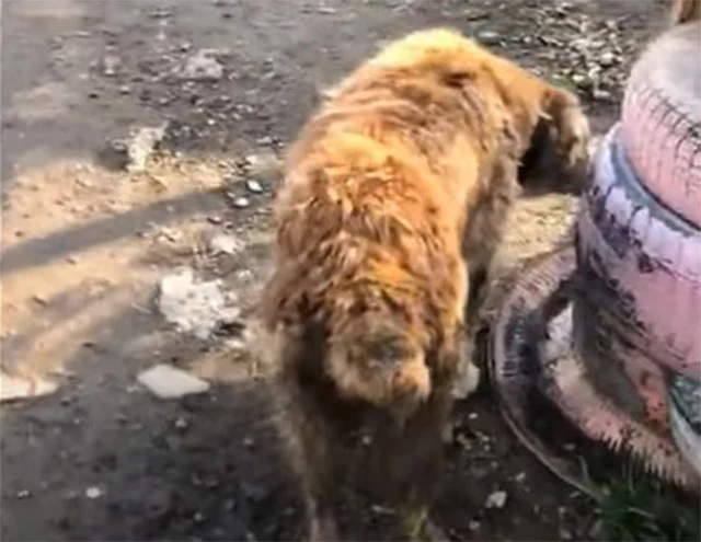 Though the future remains uncertain, we ...