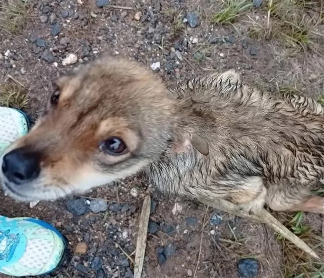 Extra image from article