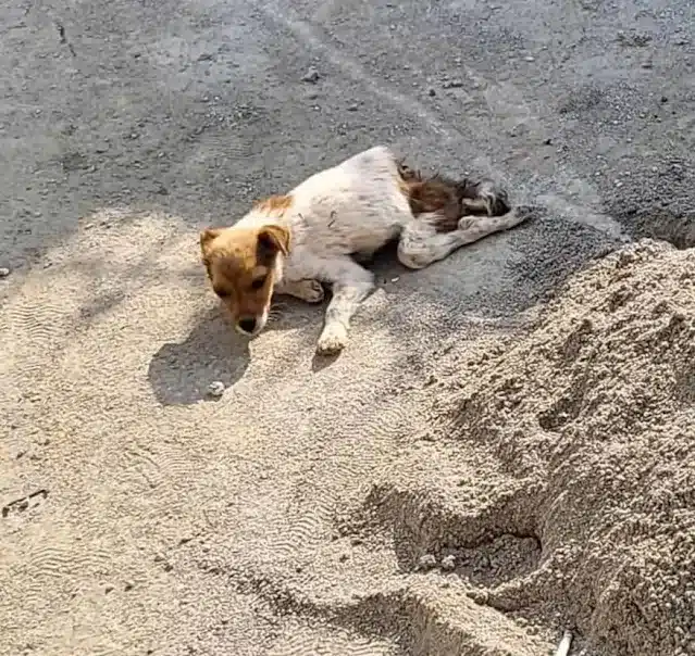 As the news of his rescue circulated, me...