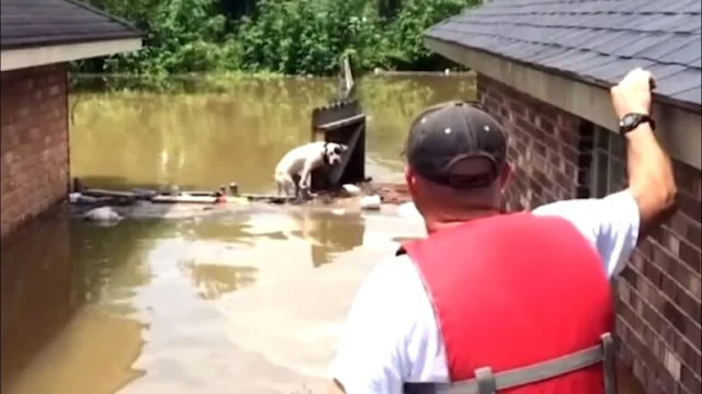 Watch the video below:...