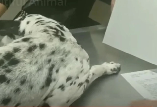 Extra image from article