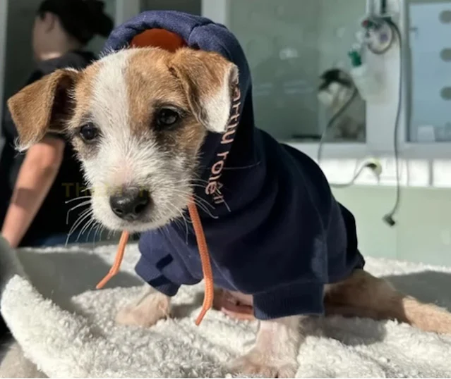 Remarkably, Clark began showing signs of...