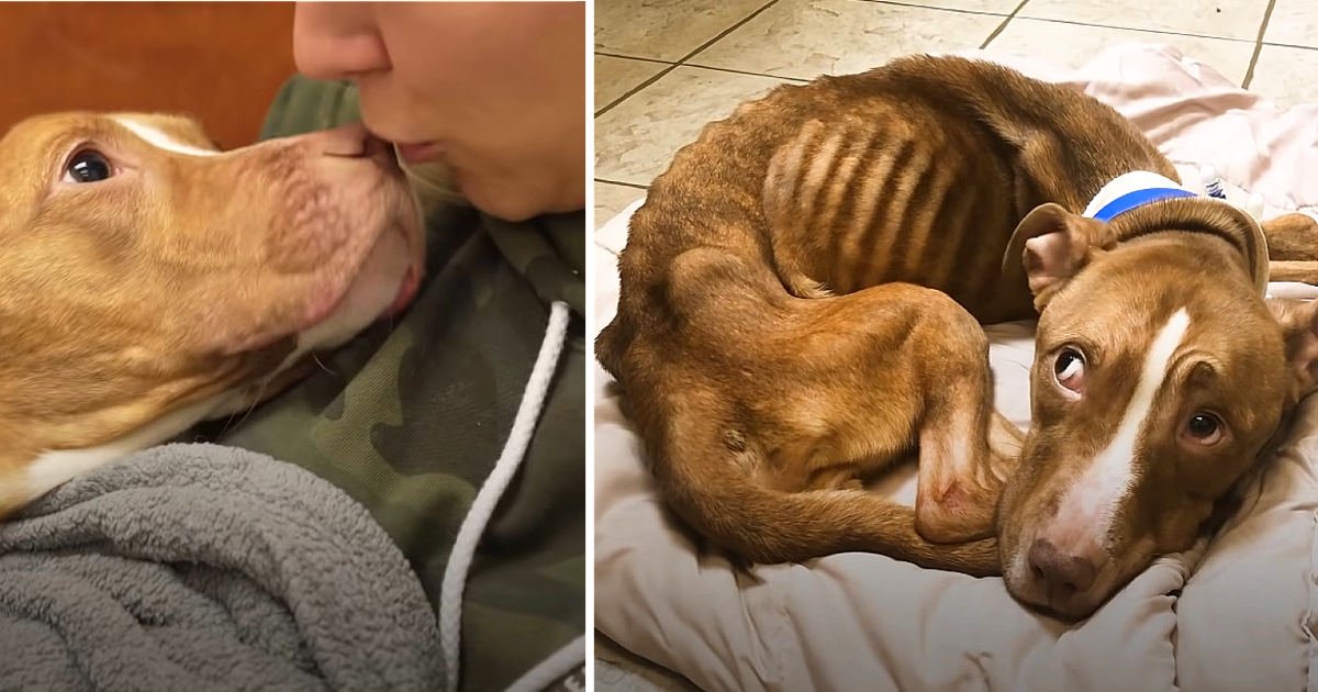 Upon her discovery, Animal Control was p...