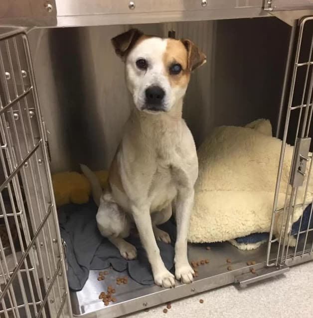 Extra image from article