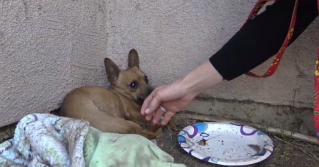 Today, with the help of lots of love, ca...