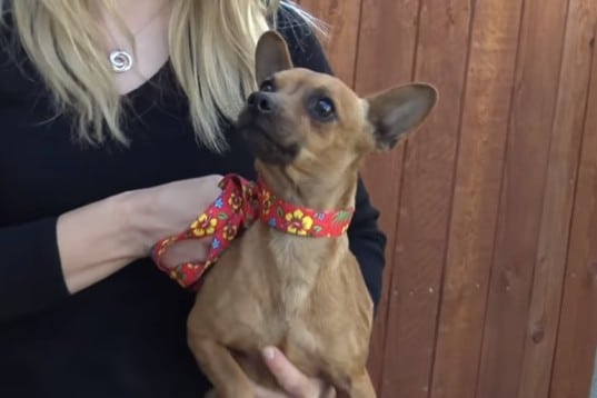 Extra image from article