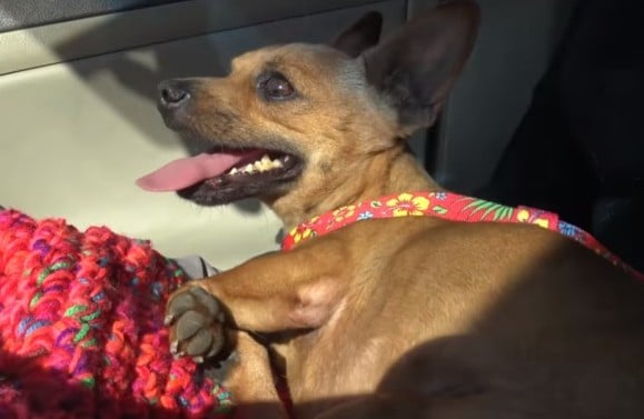 Extra image from article