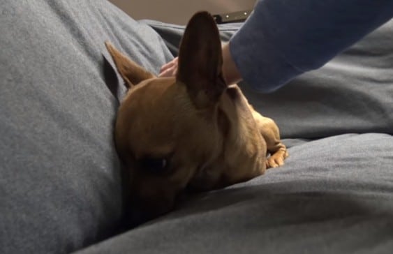 Extra image from article