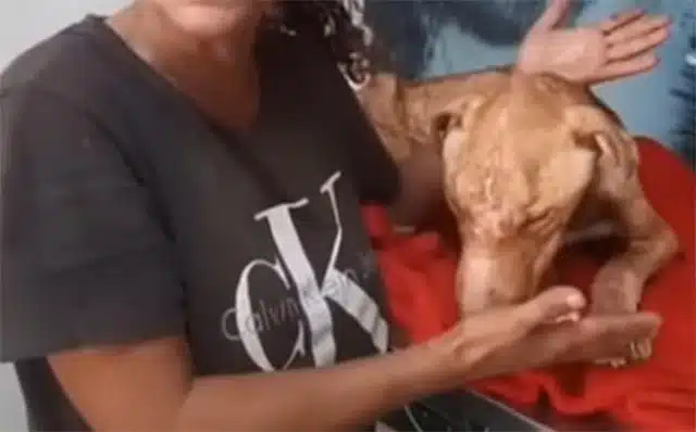 Extra image from article