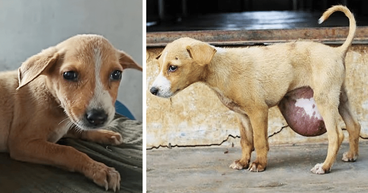 The enormity of the growth, later unders...