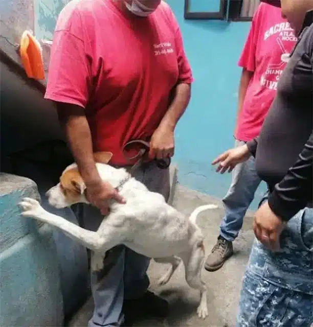 The footage quickly caught attention, pr...