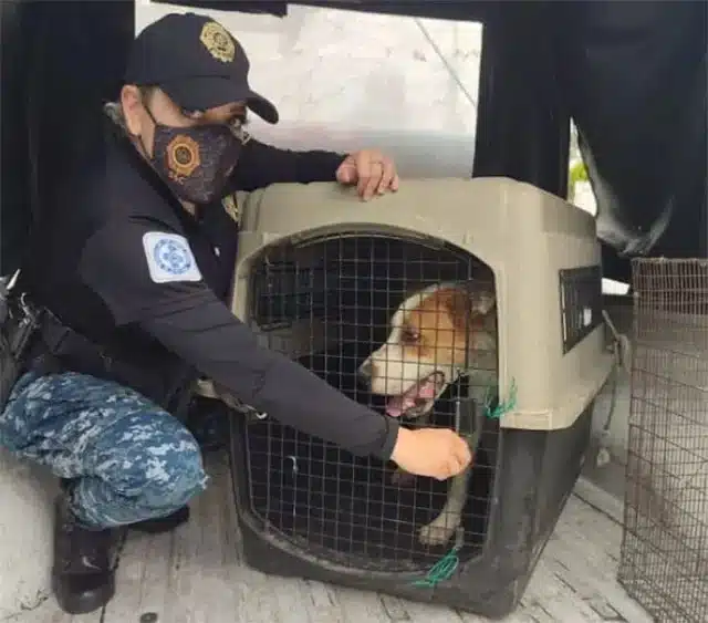 In a subsequent post, Varela shared her ...