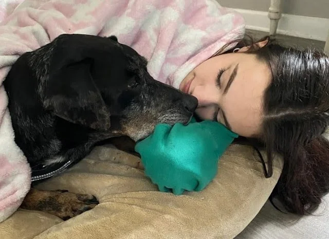 Extra image from article