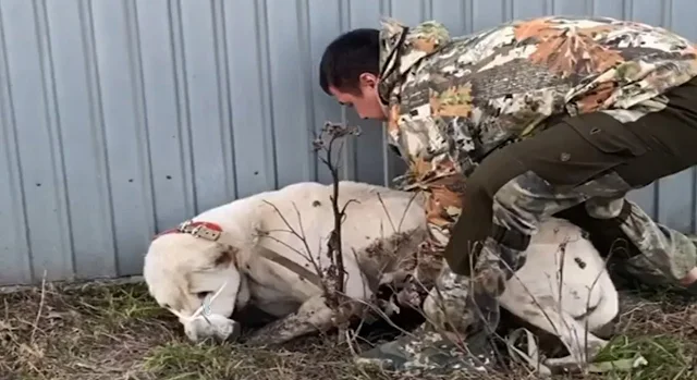 At approximately 8 to 10 years old, Snow...