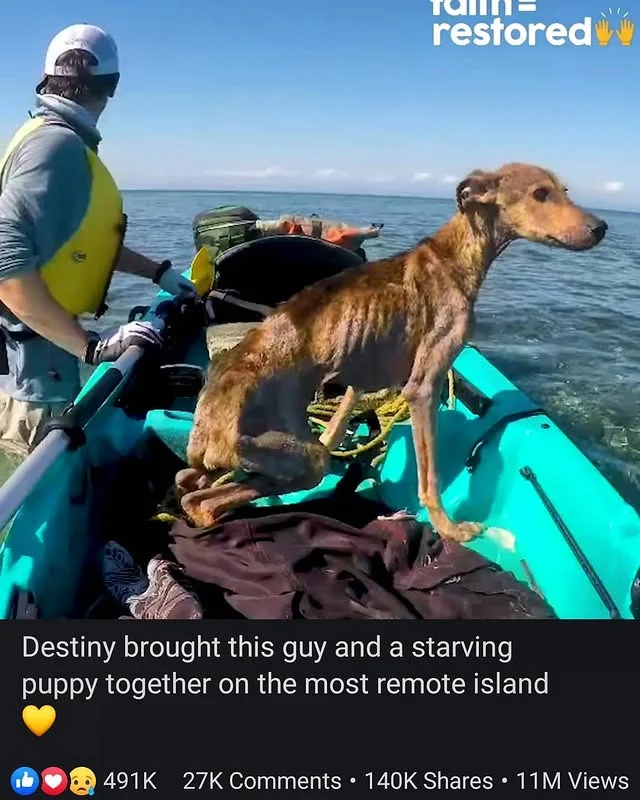 Back home in Montana, Wesley couldn’t st...