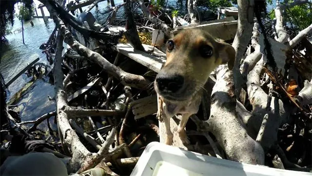 All worries vanished when a now much hea...