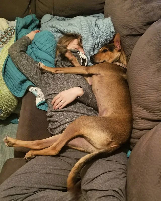 Extra image from article