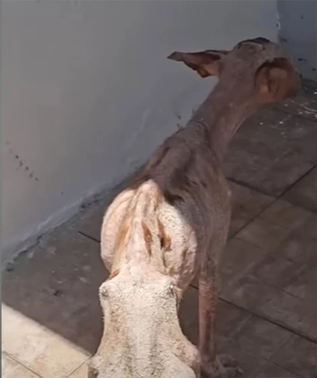 This experience reaffirms our faith in t...