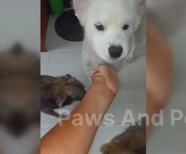 A turning point occurred one day at the ...