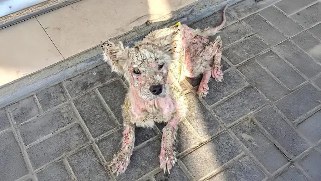 Beneath his reserved demeanor, there was...