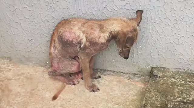 At that time, Fuba wasn't just frightene...