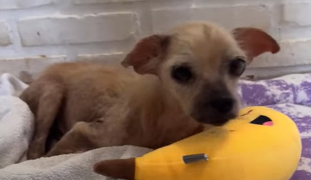 Extra image from article