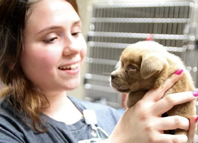 As Lochmann arrived and exited her vehic...