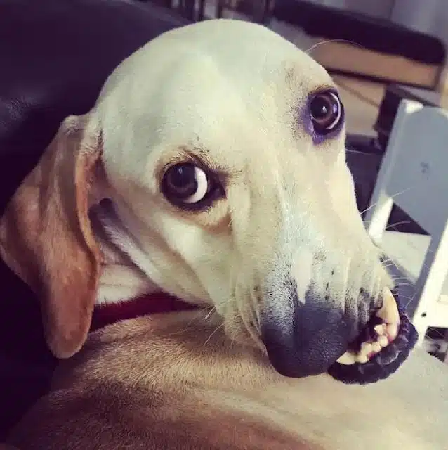 Johanna's mission is to celebrate Alan's...