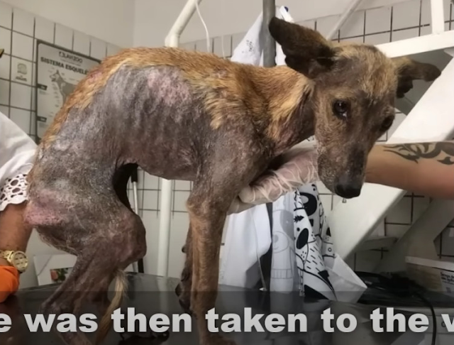 Fuba's expectations were marked by survi...