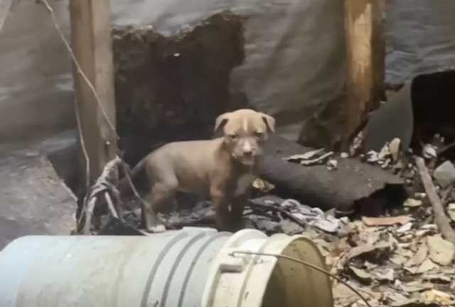 Reflecting on the challenge this posed, ...