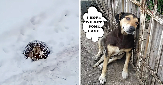 Reflecting on the challenge this posed, ...