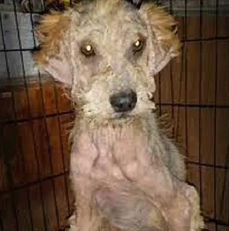 Karla was overjoyed at the transformatio...