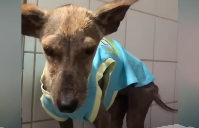 The burden on her heart softened with ea...