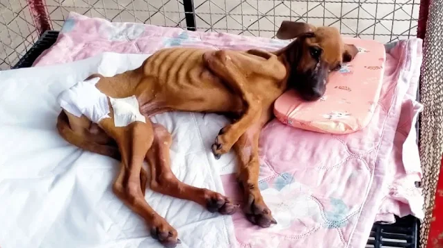 For half a year, she endured profound su...