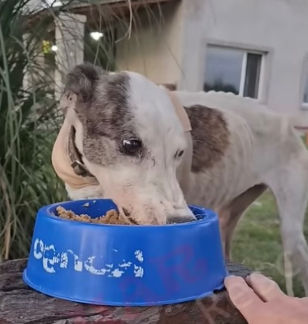 Extra image from article