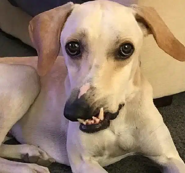 Extra image from article