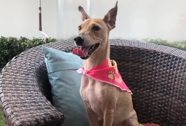 In her acts of kindness and attentive li...