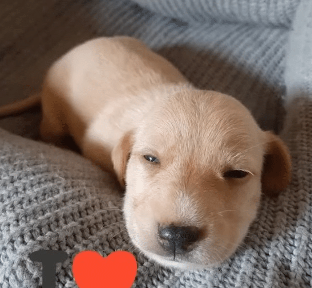 Within just 15 days, Nala's transformati...