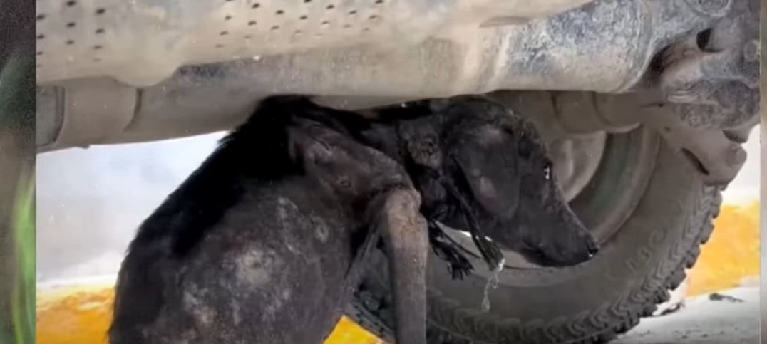 Her story serves as a powerful reminder ...