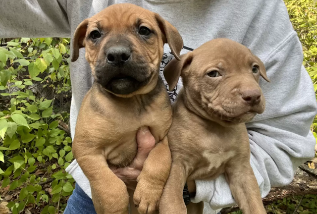 Lochmann expressed her hopes that Windy ...