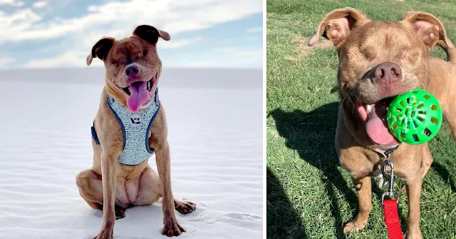 Lochmann expressed her hopes that Windy ...