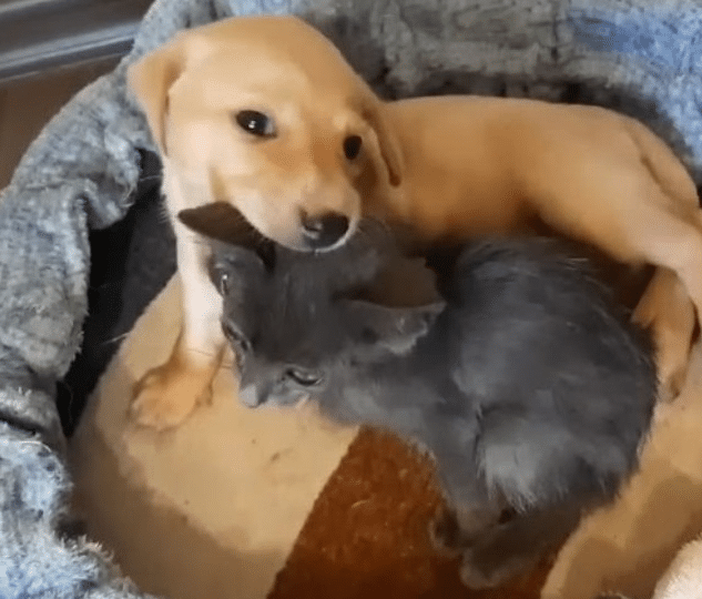 Surrounded by warmth and with her needs ...