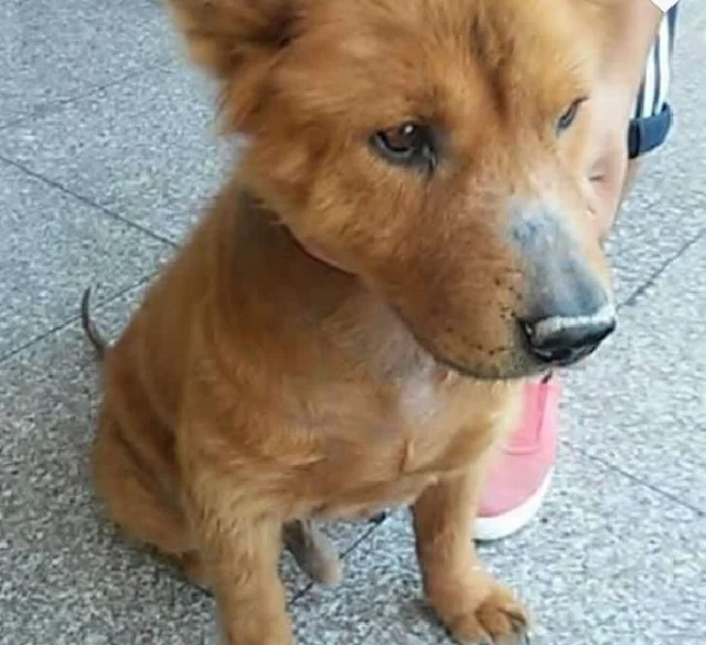 Extra image from article