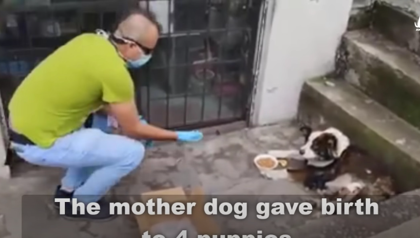 Understanding she was in caring hands, t...