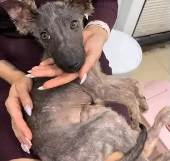 With love and happiness awaiting him, Mi...