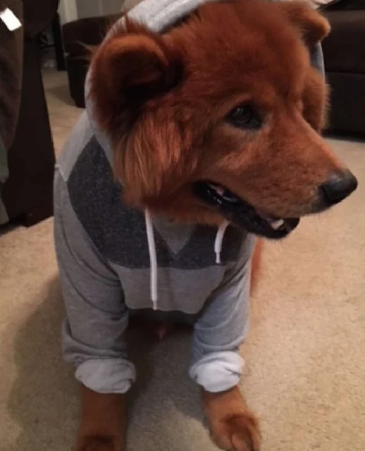 Extra image from article