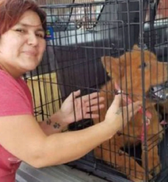 Extra image from article