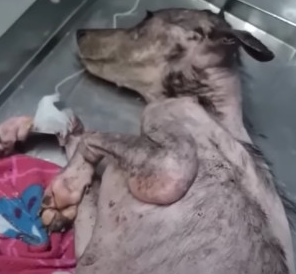 Angela's journey serves as a powerful re...