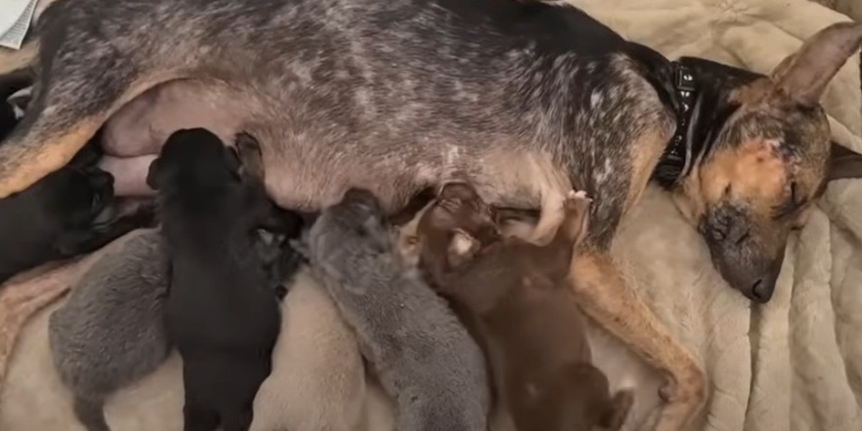 Extra image from article